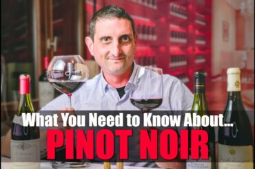 Everything You Need to Know About Pinot Noir