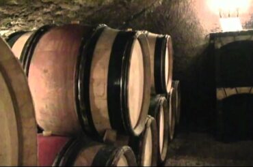 Visiting Wine Caves in Nuit St Georges, Burgundy, France