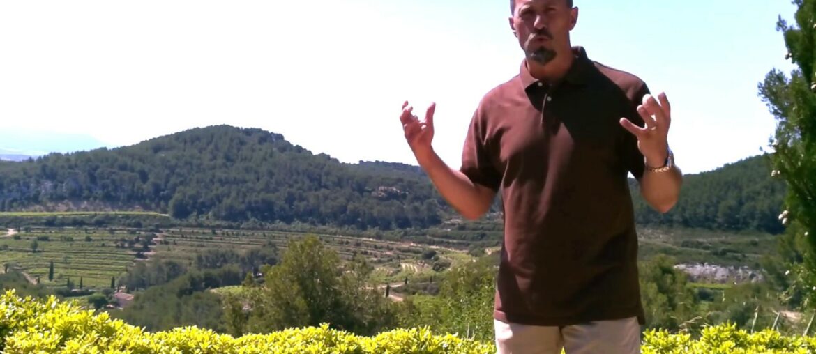 Chateau Pibarnon in Bandol, Provence, France - Know Wine In No Time