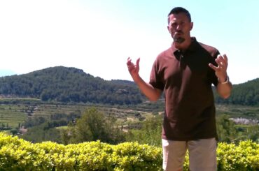 Chateau Pibarnon in Bandol, Provence, France - Know Wine In No Time