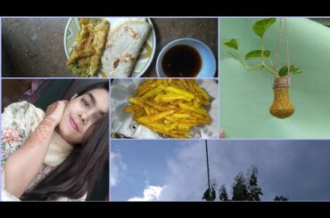 আমার প্রথম ব্লগ। Diy planter making| french fry recipe