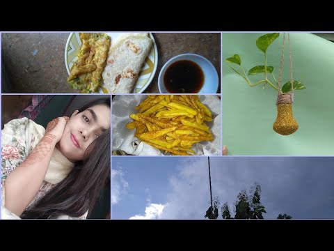 আমার প্রথম ব্লগ। Diy planter making| french fry recipe আমার প্রথম ব্লগ। Diy planter making| french fry recipe