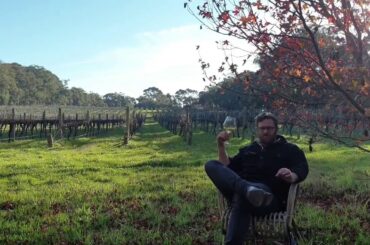 Taste Then Drink Episode 11: Single Site Series Puligny Montrachet 'Les Charmes'