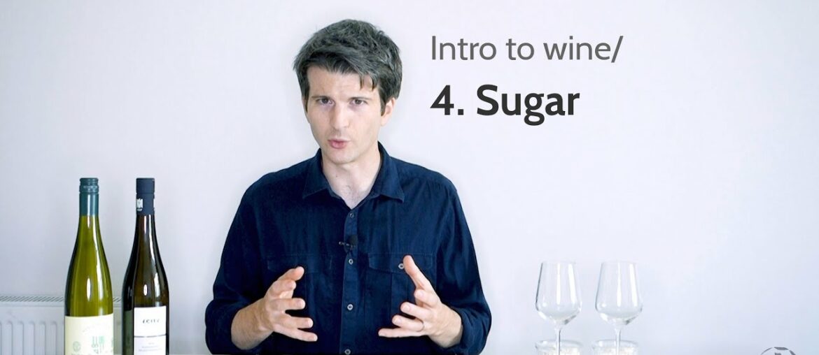 Intro to wine/ 4. Sugar | Wine with Andy