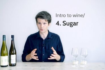 Intro to wine/ 4. Sugar | Wine with Andy