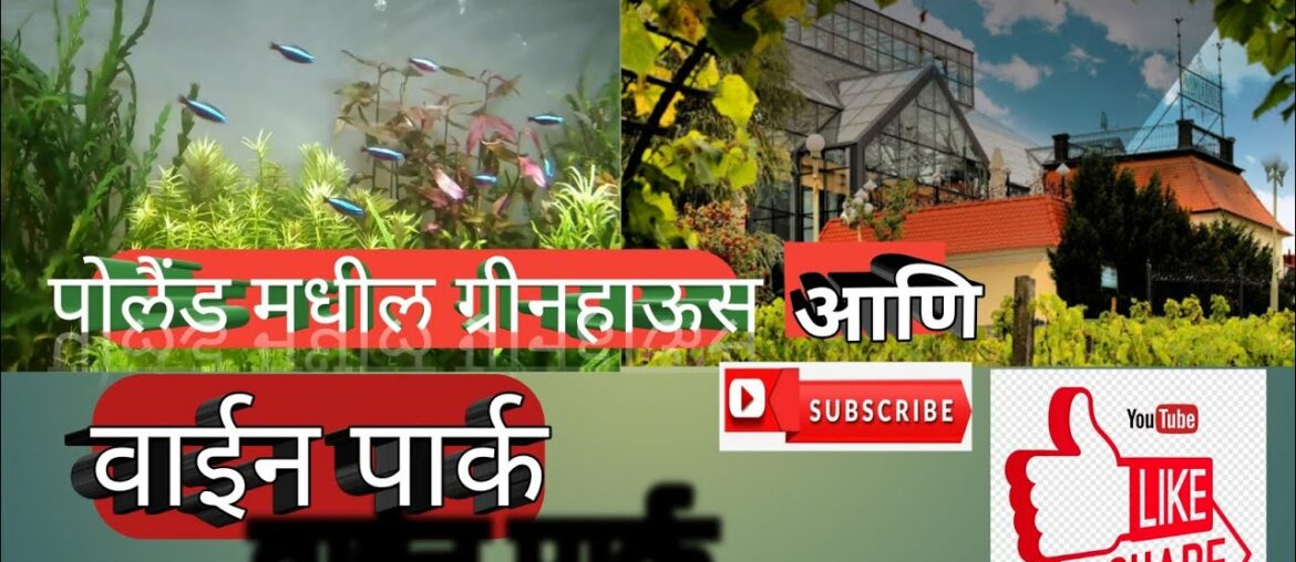 पोलैंड मधील ग्रीनहाऊस आणि वाईनपार्क || ( Palm house & wine park in Poland )||Marathi Vlog