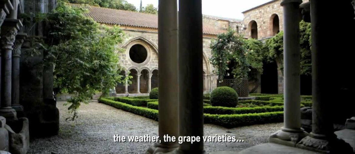 French Wines with Style Road Trip: Authentic & Natural