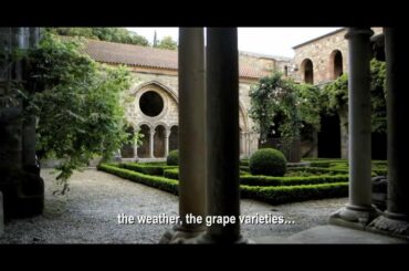 French Wines with Style Road Trip: Authentic & Natural