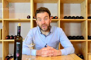 Andrea's Wine Conversations - Gamay