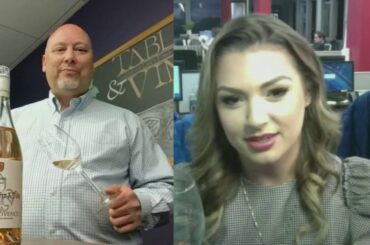 These Fantastic Rosés Only Cost HOW MUCH?!?!?! - (virtual) WINE DOWN WEDNESDAY || Table & Vine