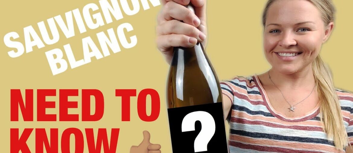 Sauvignon Blanc | Beginner Wine Guide