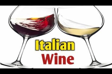 italian Wine|with details|&examples|full explanation with pptx|wine series part2|from CIMS