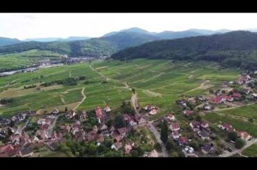 The French Alsace - VanLife Moments 9