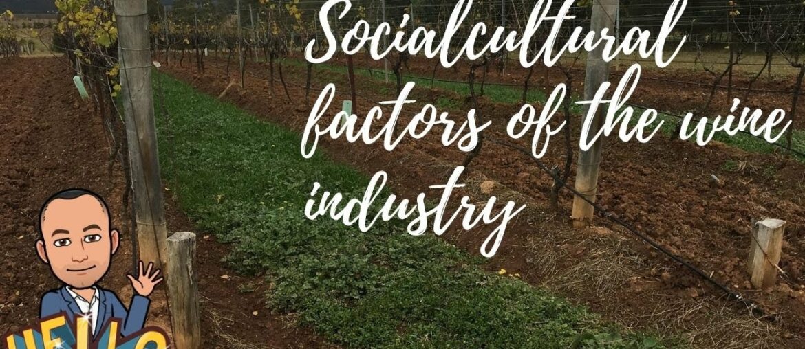 How do sociocultural factors affect the wine industry?