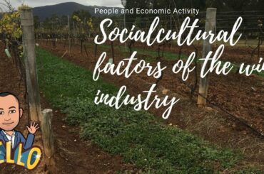 How do sociocultural factors affect the wine industry?