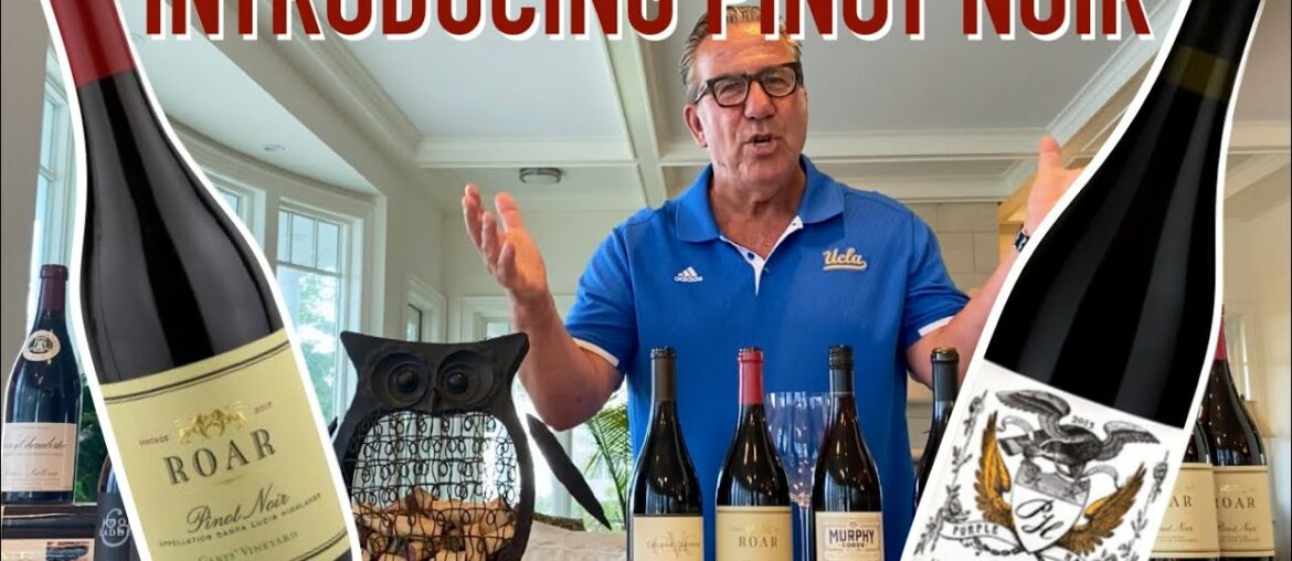 Introduction To Pinot Noir || Decants With D