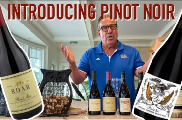 Introduction To Pinot Noir || Decants With D