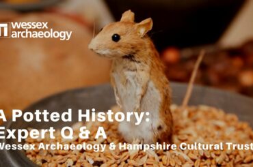 A Potted History: Expert Q&A with Wessex Archaeology & HCT