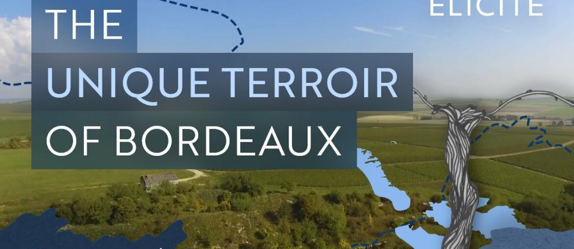 The Unique Terroir of The Bordeaux Wine Region The Unique Terroir of The Bordeaux Wine Region