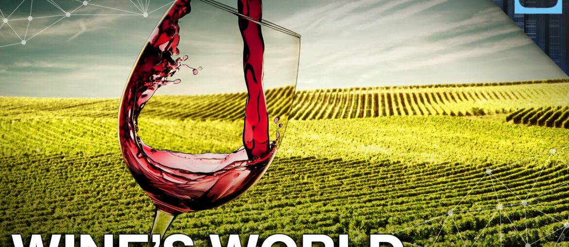 How Did Wine Become A Global Phenomenon?