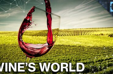 How Did Wine Become A Global Phenomenon?