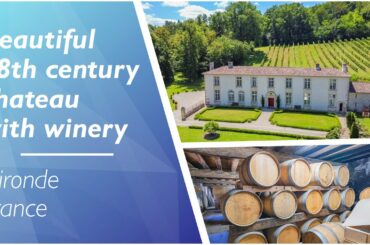 Beautiful 18th century Chateau with fully equipped winery -  Ref. :  112177MK33