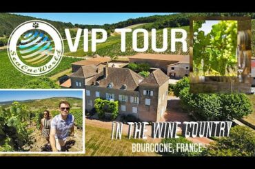 WINE TASTING IN BURGUNDY, FRANCE
