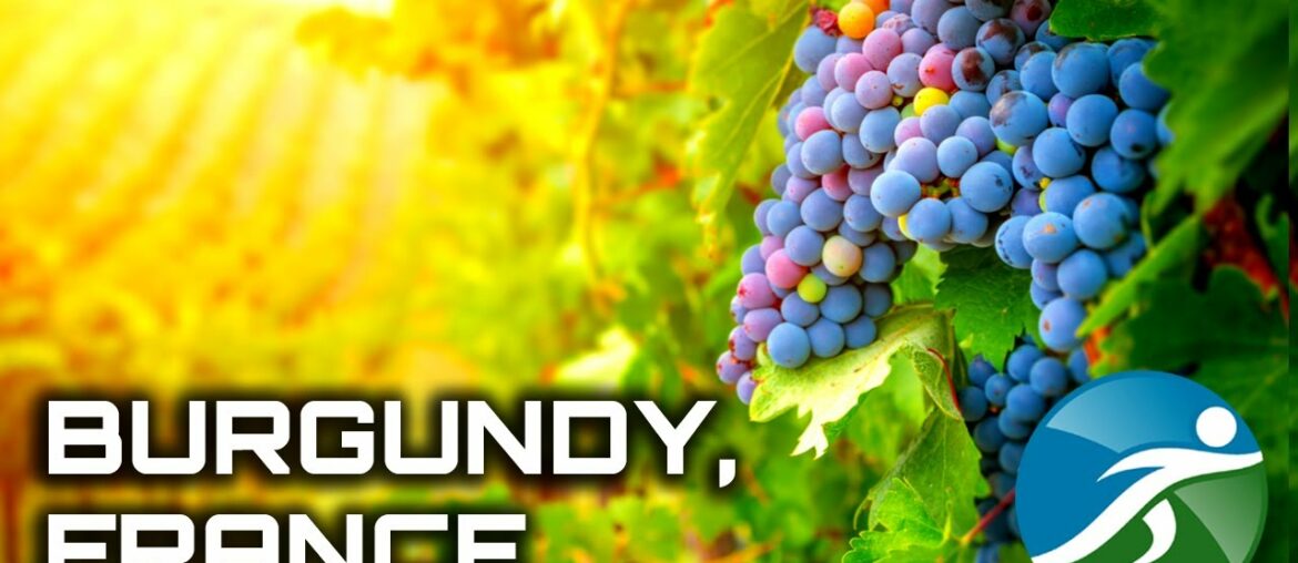 À VOTRE SANTÉ!  An intoxicating virtual run among the vineyards | Treadmill Traveler