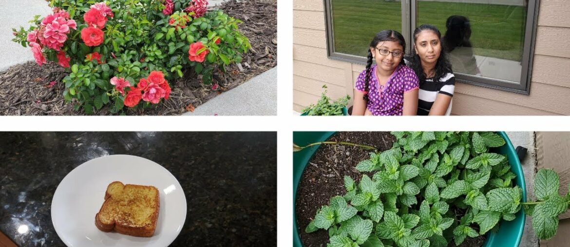 Morning routine in Tamil ||Preparing Breakfast||DIML||French Toast Recipe||USAVlog