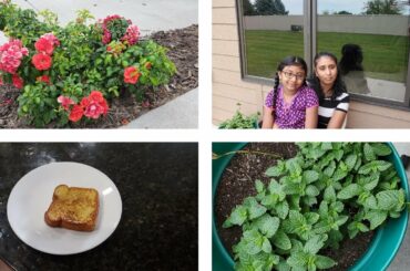 Morning routine in Tamil ||Preparing Breakfast||DIML||French Toast Recipe||USAVlog