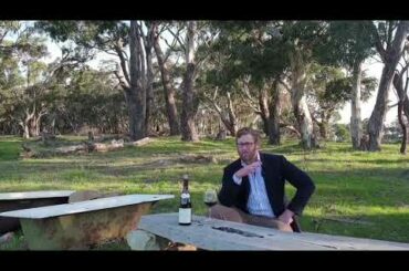 Taste Then Drink Episode 12: Single Site Series Morey St Denis 1er Cru Les Ruchots