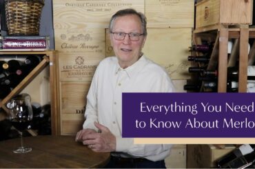 Everything You Need to Know About Merlot