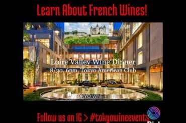 Learn About French Wines!