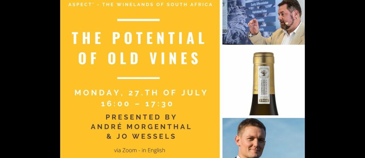 #spectacularsouthafrica "The potential of South African Old Vines"