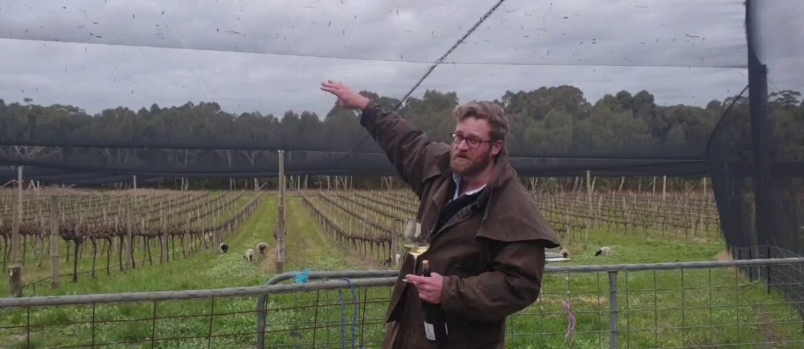 Taste Then Drink Episode 13: Single Site Series Puligny Montrachet 1er Clavoillons