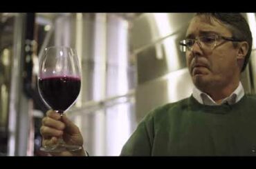 Magic is happening in Washington Wine