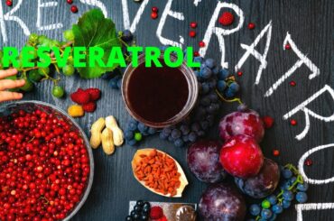 how to maximize resveratrol health antioxidants