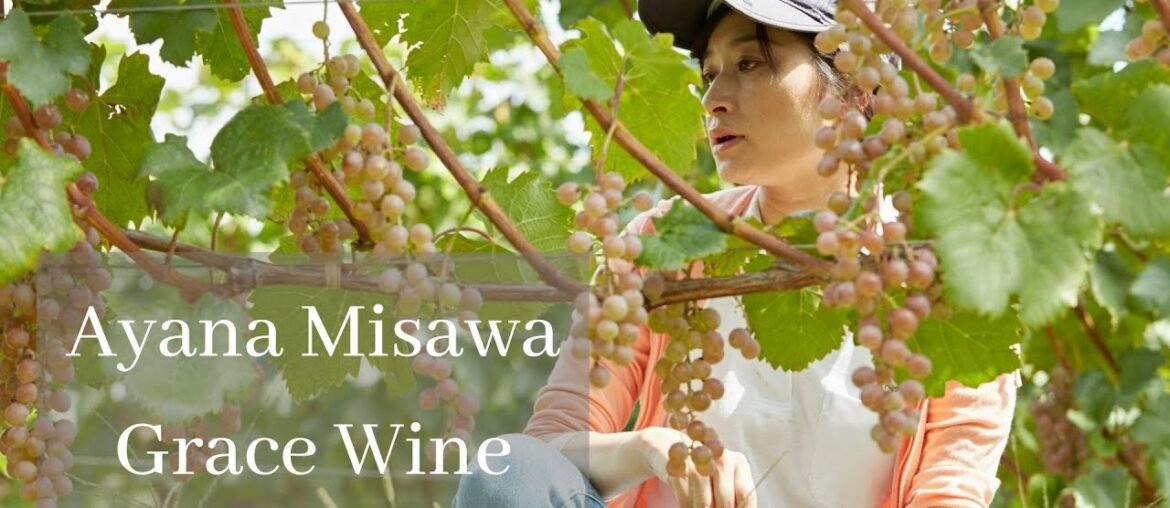 Grace wine - Koshu Toriibira Vineyard 2019