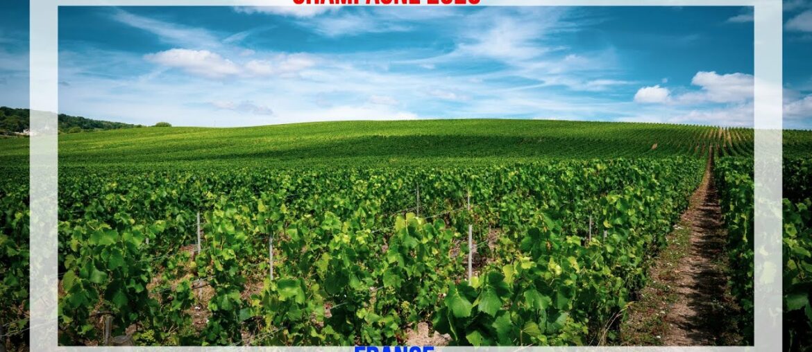 Champagne 2020  - France | DJI Mavic Air