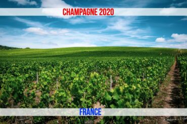 Champagne 2020  - France | DJI Mavic Air