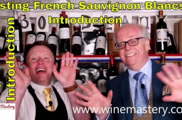 Tasting French Sauvignon Blanc Wines Introduction (Episode 92 Introduction)