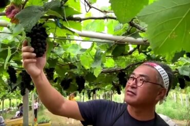 A 'wine revolution' far from Bordeaux