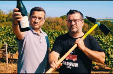 WineyPeople- Jerome and Xavier Garnier, Chablis FRA