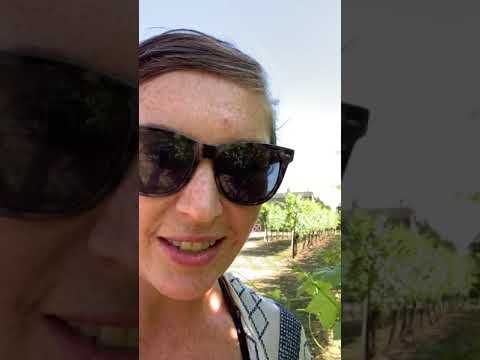 The Vino Cru: Alexa Talks Veraison The Vino Cru: Alexa Talks Veraison