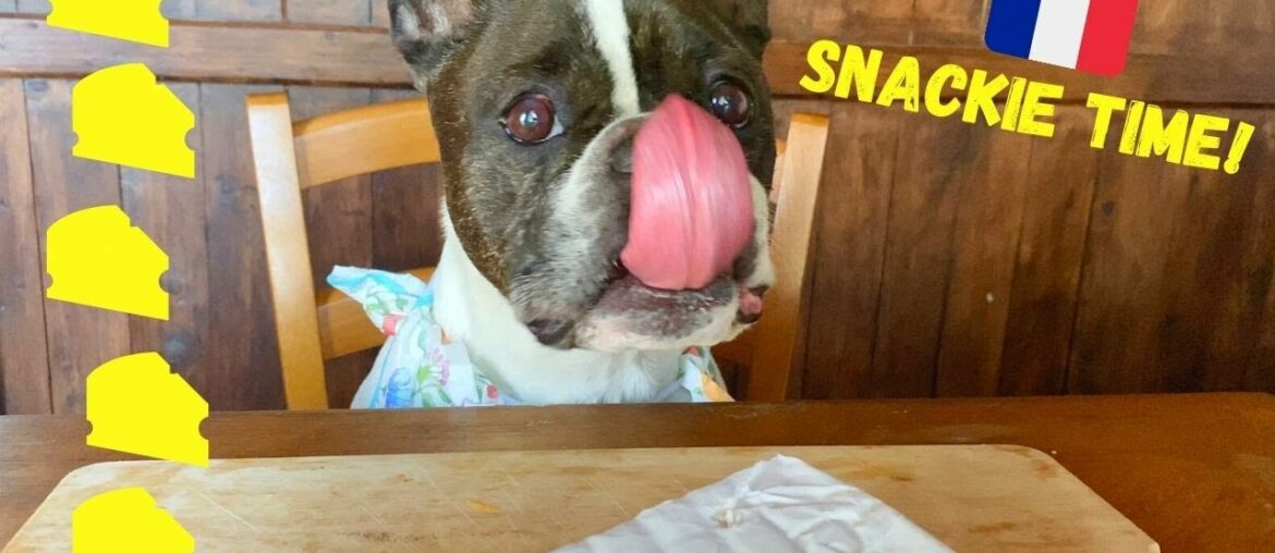 French Bulldog Snackie Time! (The French Cheese Board Edition) French Bulldog Snackie Time! (The French Cheese Board Edition)