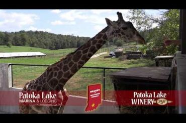 Southern Indiana Getaway at Patoka Lake,  French Lick West Baden Indiana