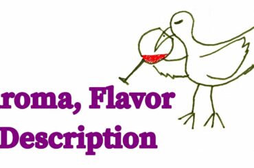 Let's LEARN the LANGUAGE of WINE / Aroma, Flavor description of wine