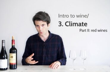 How does climate affect wine flavours? (red wines) | Intro to wine/3