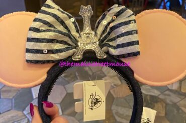 New Merchandise at Epcot, France Pavilion