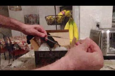 LE TONNELIER Stainless Steel Wine Glass Tumblers Vacuum Insulated Double Walled